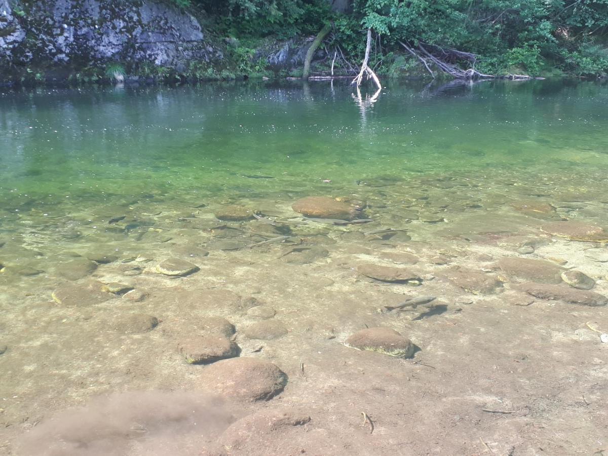 Appartamento La Meridiana A Traffiume Cannobio Extérieur photo